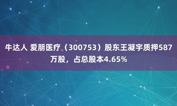 牛达人 爱朋医疗（300753）股东王凝宇质押587万股，占总股本4.65%