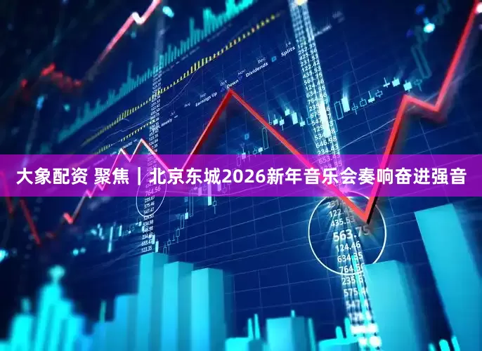 大象配资 聚焦｜北京东城2026新年音乐会奏响奋进强音