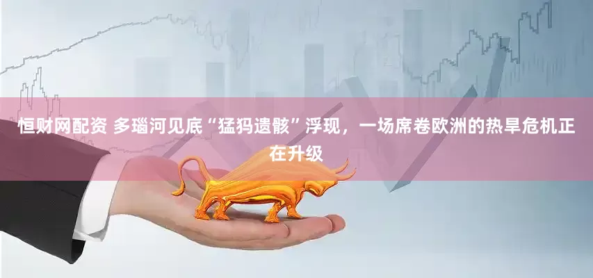 恒财网配资 多瑙河见底“猛犸遗骸”浮现，一场席卷欧洲的热旱危机正在升级